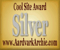 Silver Award
